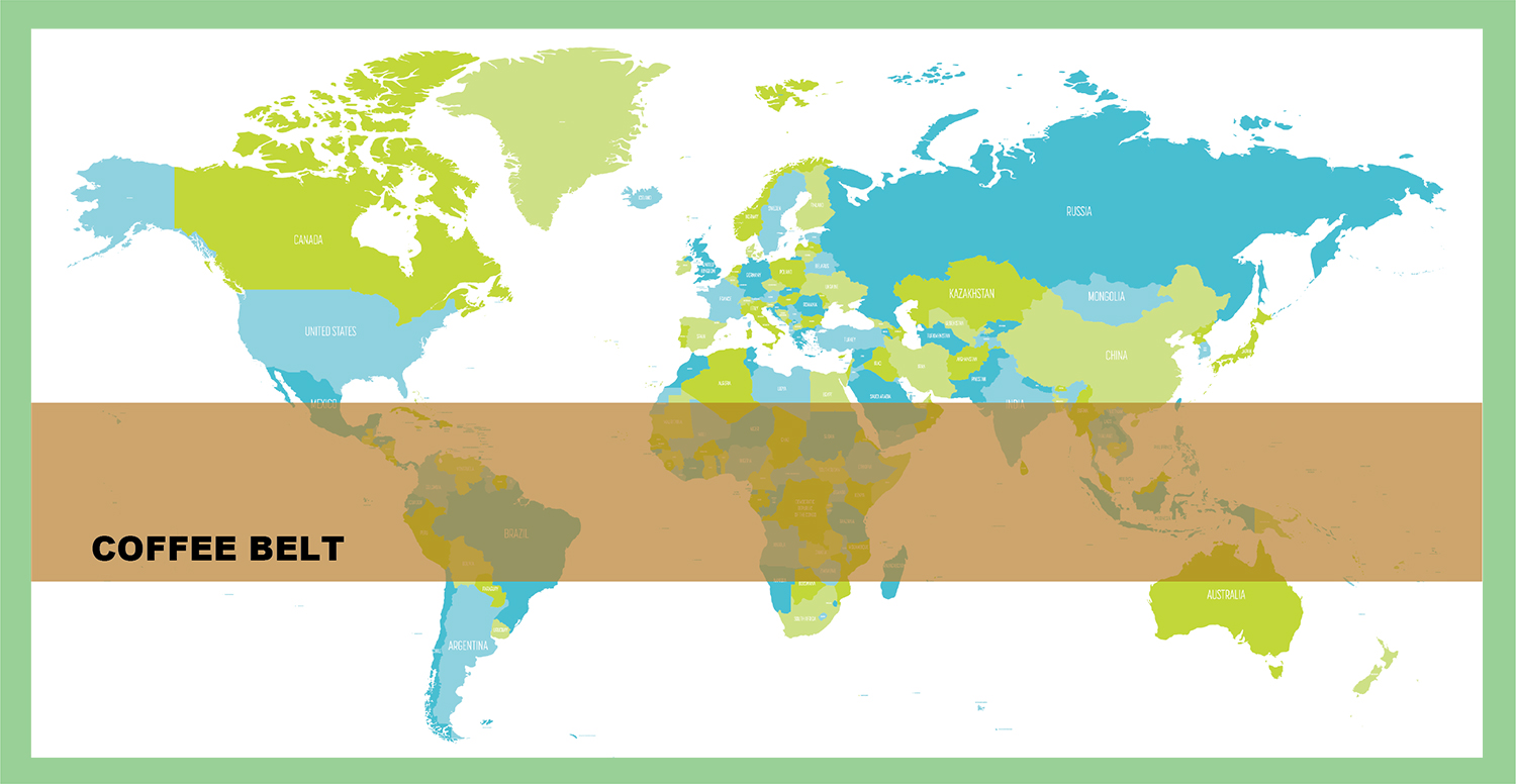コーヒーの育つエリアはベルト状